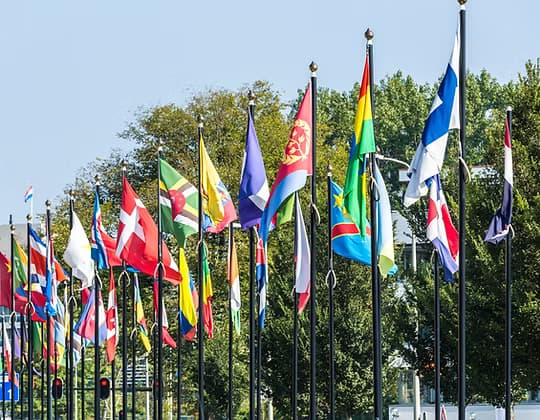 International flags